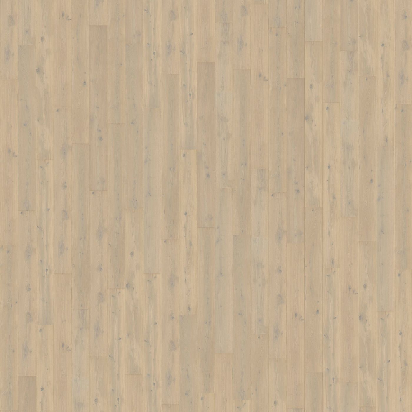 Parkett Pergo Langeland Castle Oak