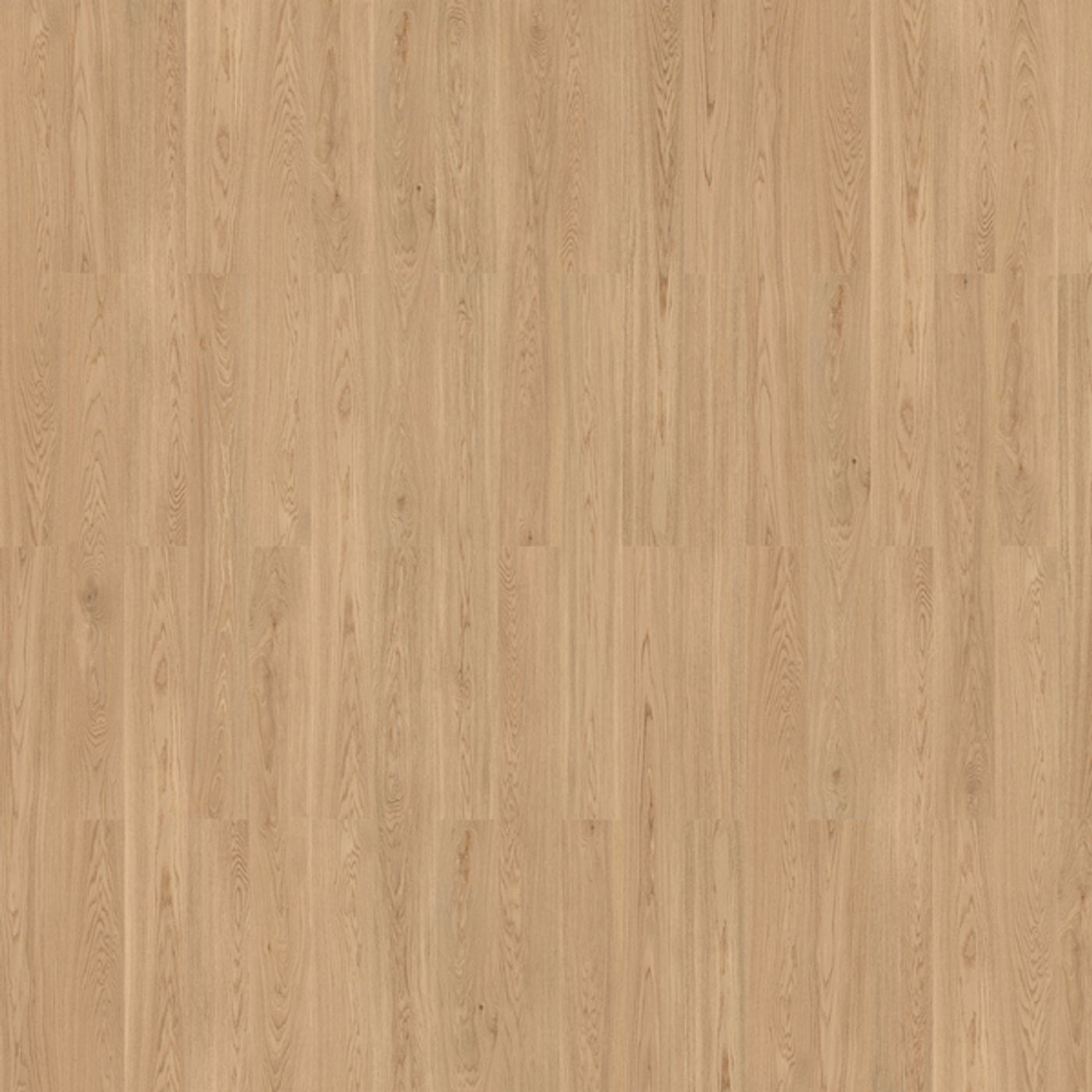 Korkgulv Wicanders Natural XL - Pure Oak