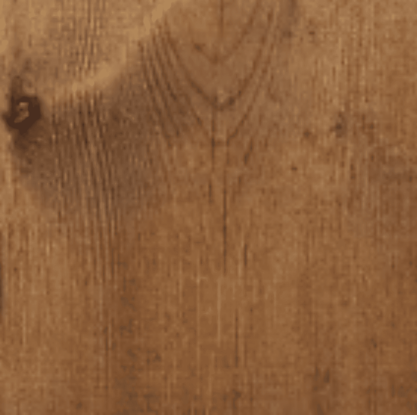 Osmo Oljebeis eksteriør